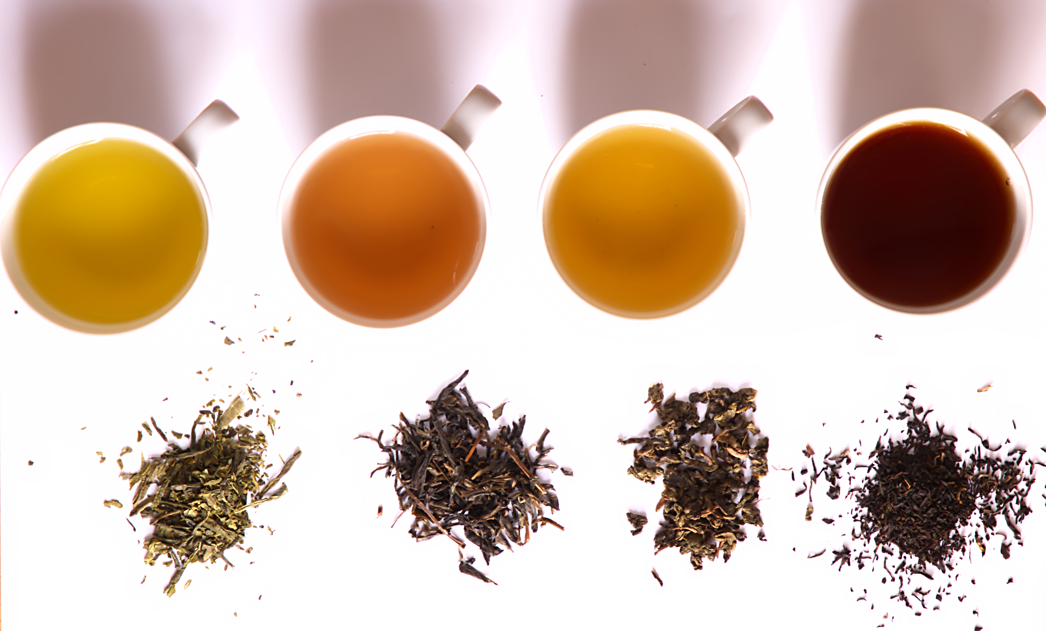Tea Talks